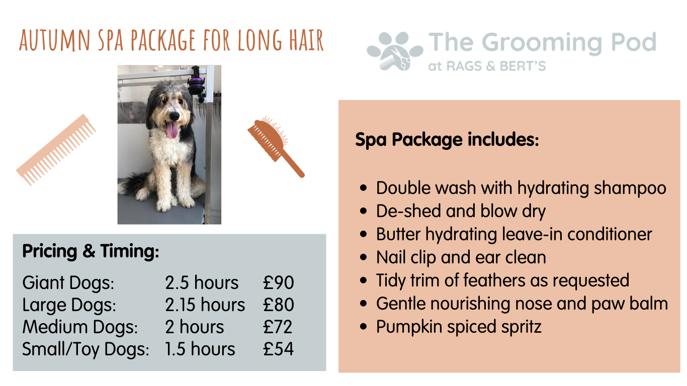 Autumn Spa Package - Long Hair