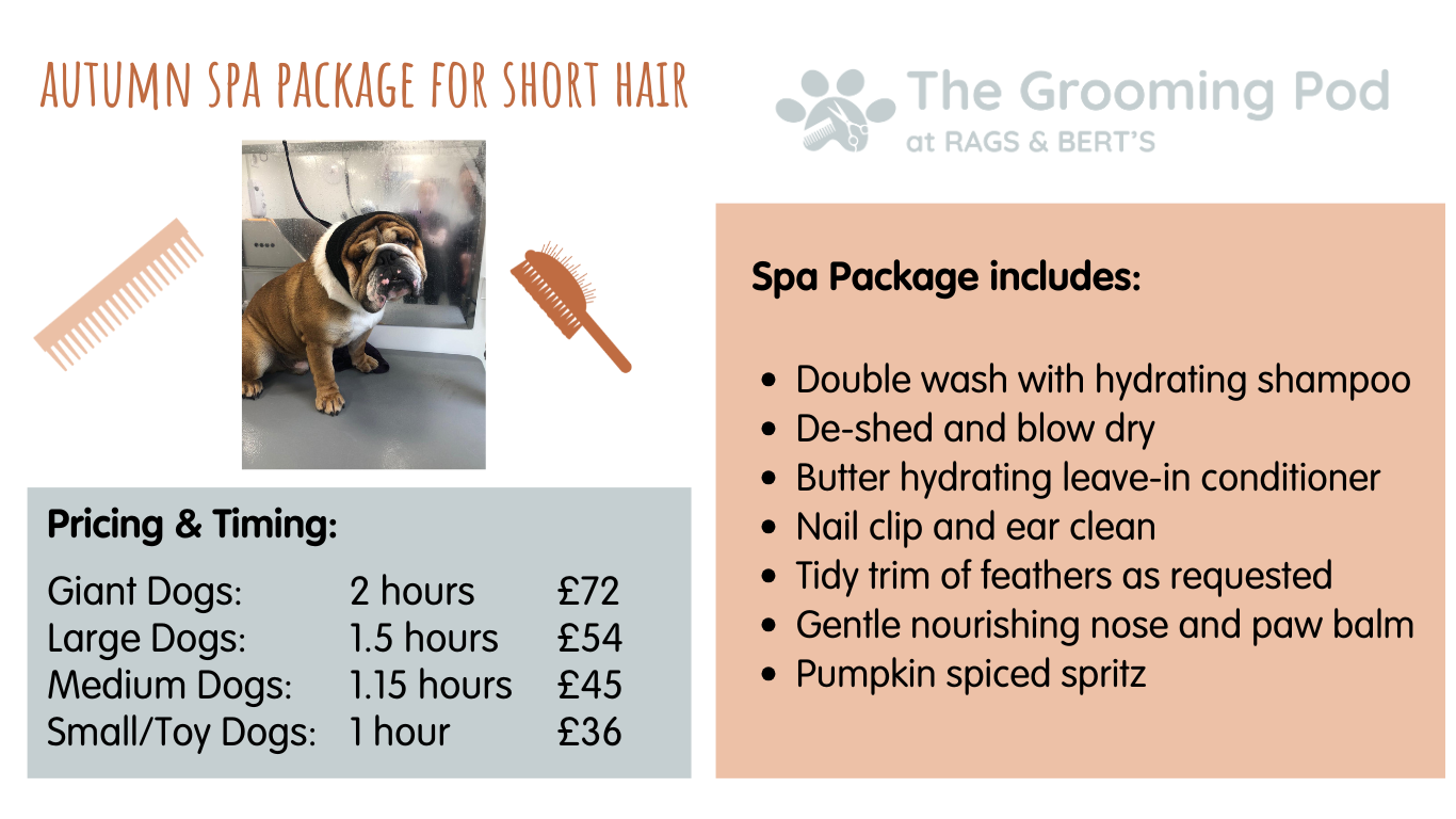 Autumn Spa Package Short Hair