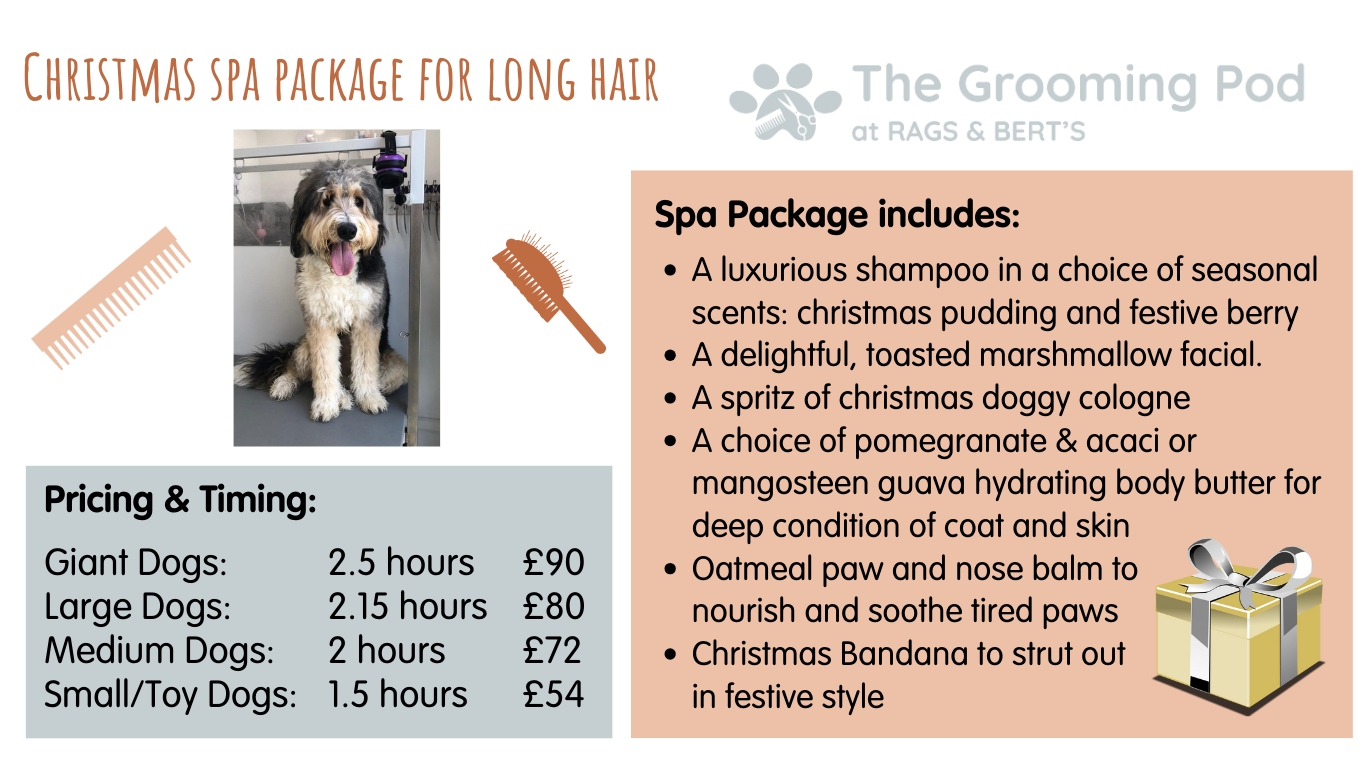 christmas spa packages for long haired dogs